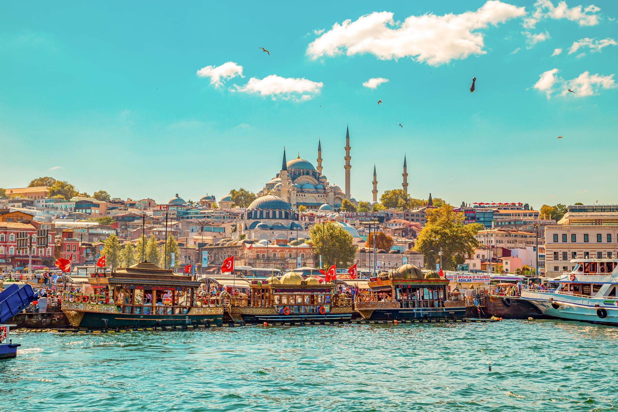 turkey